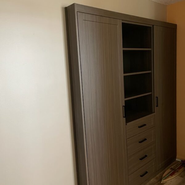 Custom Wall Beds St Petersburg - Closet Art